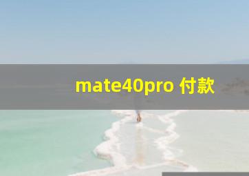 mate40pro 付款